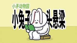 【小矛动物园】小兔子头悬梁，真疼。