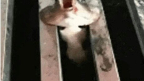 Look at the unlucky moments of netizens