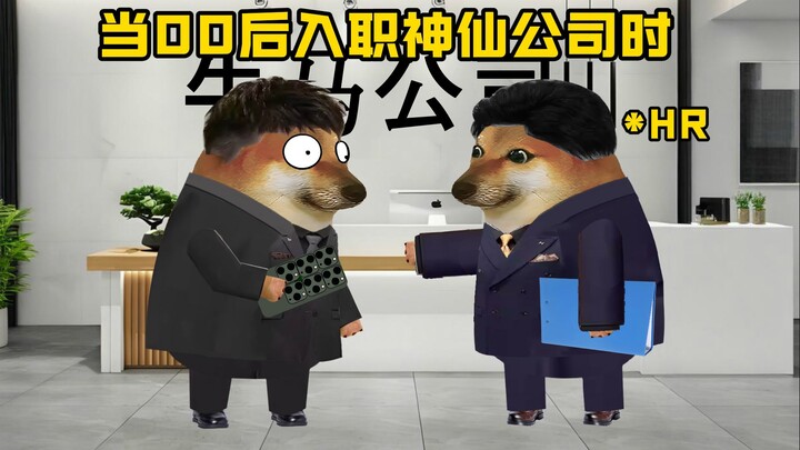 当00后入职神仙公司时