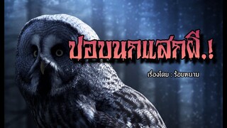 ปอบนกแสกผี (คลิปเดียวจบ)