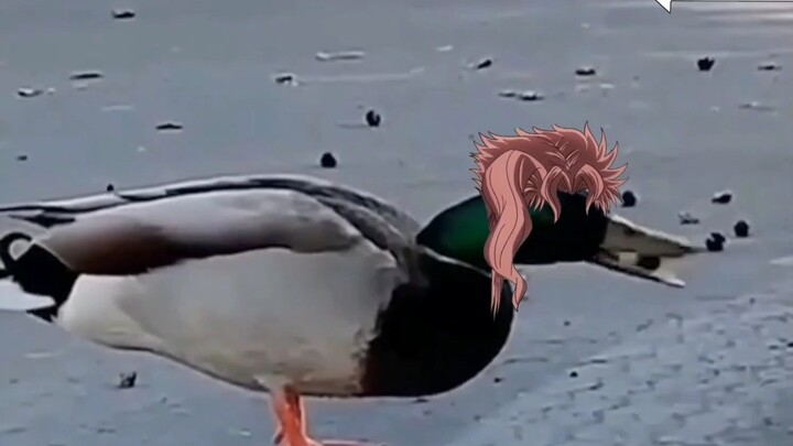 JOJO Little Theater #3