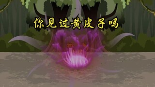 你见过黄皮子吗