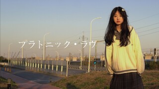 柏拉图式爱情｜虽说是一场糟糕透顶的人生⸝⸝⸝⸝｜星沧溟