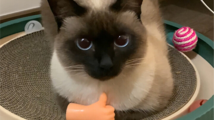 Every time I see him without hands, I feel so sorry for him.