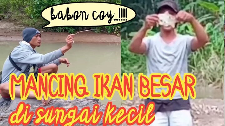 Mancing ikan besar di sungai kecil_Asuy mancing