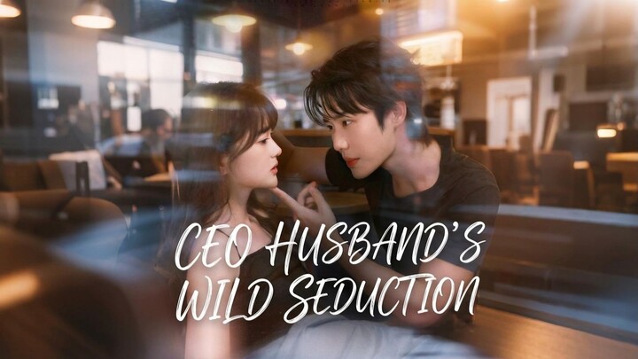 CEO Husband’s Wild Seduction