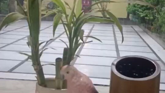 选择一个人就是选择一种生活方式 💖感恩遇见 ，感恩自己一直坚持在这个适合自己的场域中不断修行 📿——
