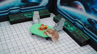 ภารกิจของหนูแฮมสเตอร์ ep 17 ป้องกันโรก