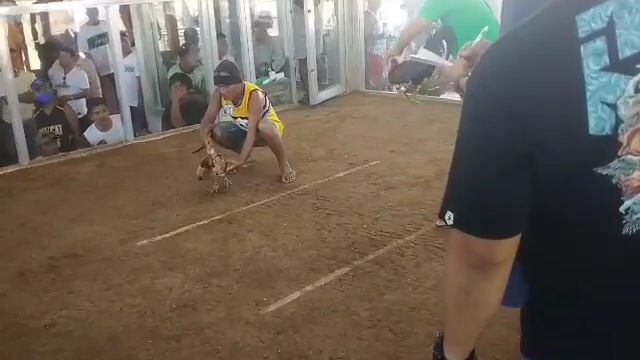 veteran's move 4x🐓