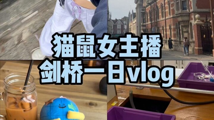 【vlog】猫鼠女主播在剑桥的一天