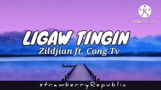 Zildjian _ ligaw tingin