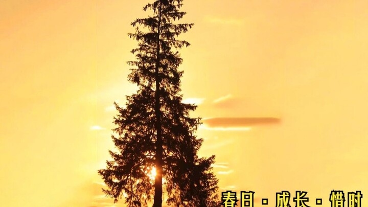 Ketika angin sepoi-sepoi berpadu dengan tepuk tangan bersamaku, segala sesuatu terus bertumbuh. Jang