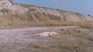 ฉากต่อสู้ของ จิ้งจอกอวกาศ จัสเปี้ยน 巨獣特捜ジャスピオン #metalhero #tokusatsu