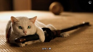 Neko Zamurai 01 ซามูไรแมวเหมียว