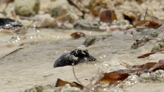 [Tập 3 - Thuyết Minh] Câu chuyện cuộc sống - Life Story (2014) S01E03: Home