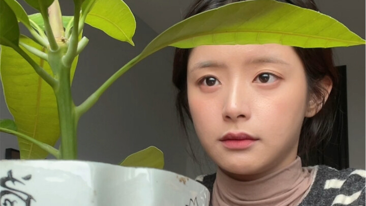 On the third day of updating for my husband, the result...he came, he came