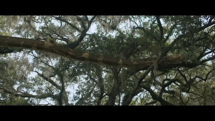 FIFTY FEET PYTHON