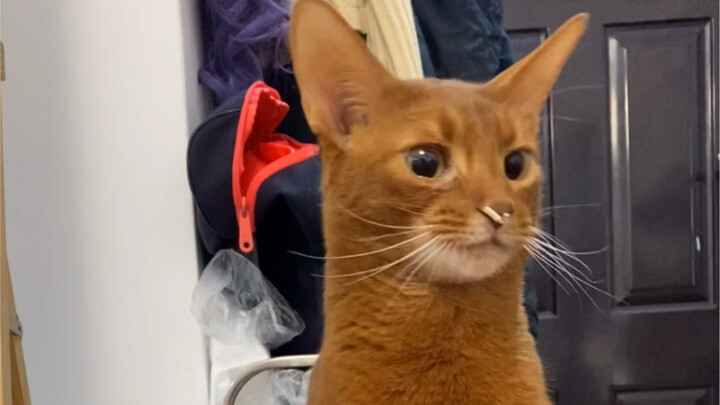 From now on, I promise I won’t laugh when Brother Jun goes to the bathroom…