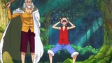 Luffy's training results