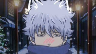 "Why is Sakata Gintoki a cat?"