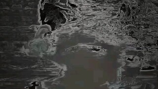 Ada anak WP gk niiihhh?