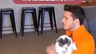 Tiba-tiba aku sadar bahwa kucing dalam pelukanku itu bukan milikku!