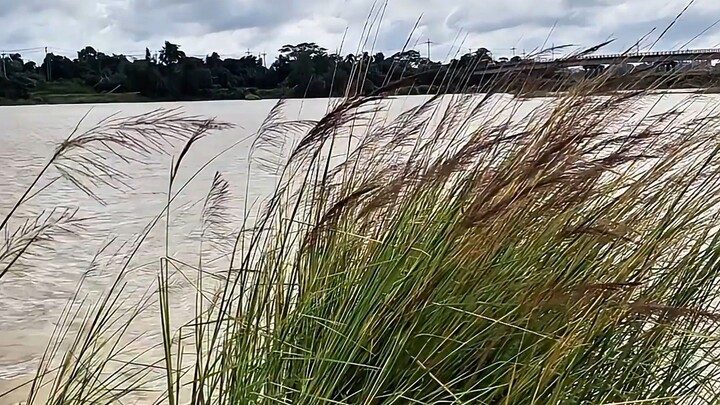 gomoti river cumilla city Bangladesh