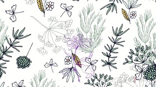 【VanKu】Flos