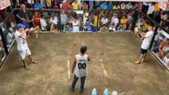 Sweeter Grey Win 💪               #RAGAMEFOWL