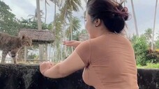 selamat pagi