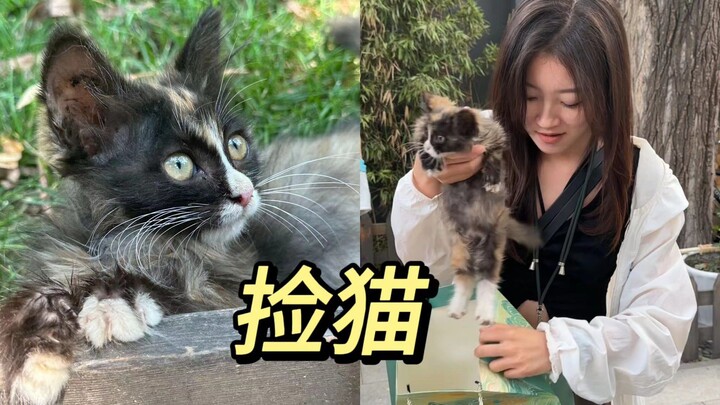 Ai hiểu được, sinh một chú Haki Mi ngay tại công ty
