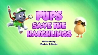 Paw patrol musim 9 Episode 8 Bahasa indonesia Vision+