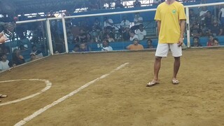 2hits Conbine WW