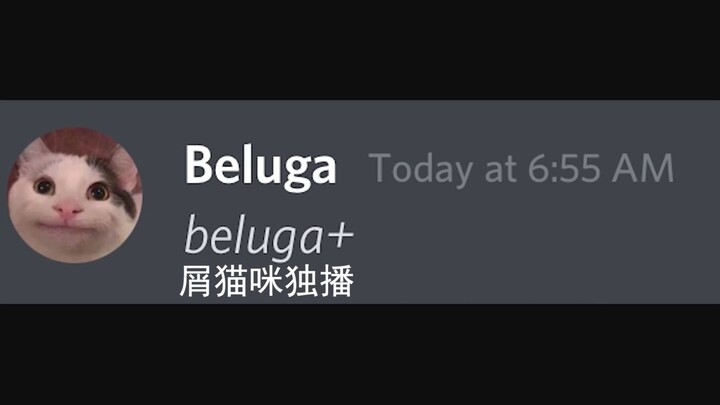 [Beluga和他的小伙伴] 1990年会是什么样的？