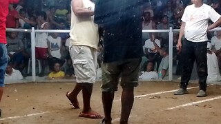 2nd win ni popeye,3rd fight, 3wins ulutan..