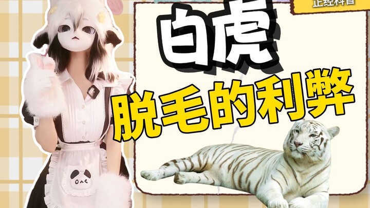 [White Tiger] Pros and cons of shaving a woman’s pubic hair?