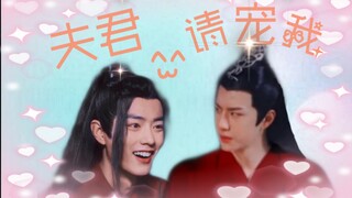 夫君，请宠我02(忘羡)(活火山湛×灭火器羡)(双洁)he