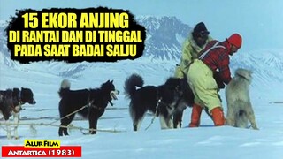 Kisah Perjuangan Hidup 15 Ekor Anjing Yang Terpaksa Ditinggal Saat Badai | Alur Film ANTARCTICA