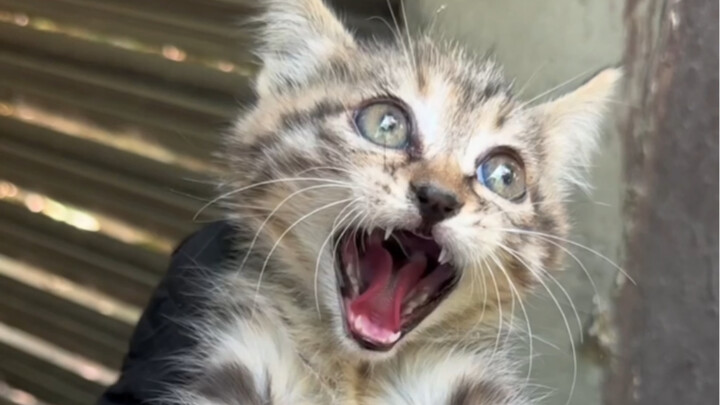 Nhiệm vụ vượt ải: Cứu Tiểu Lí Hoa. Bản đồ: Giếng thông gió