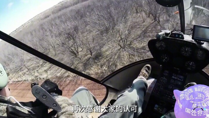 Babi hutan meluas di luar negeri, membuat warga asing terpaksa menggunakan pesawat untuk membunuh ba