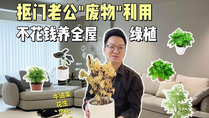 Chồng trồng hoa, chẳng tốn một xu❗ Rác nhà bếp biến thành cây xanh nổi tiếng trên mạng❓