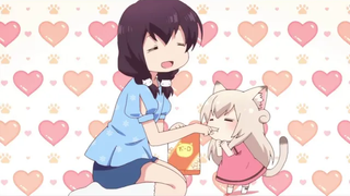 ให้อาหารเนโกะผู้น่ารัก - ชิ