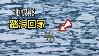 Those peaceful animal videos!