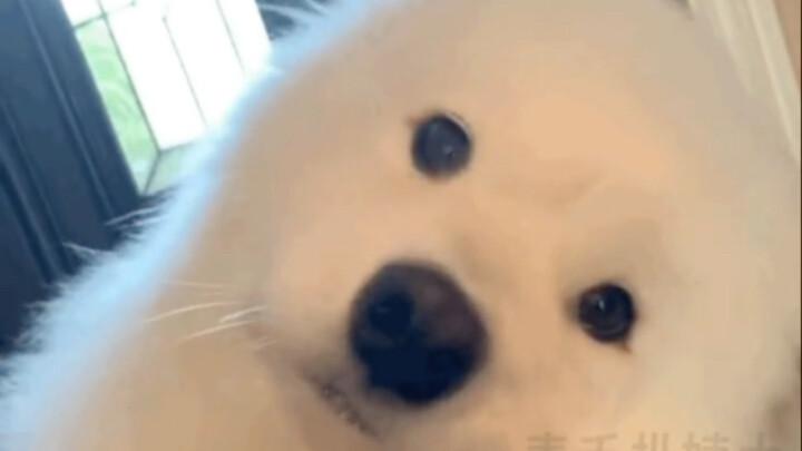 [It’s an Old Friend’s Lament] The creator’s on an exploration—welcome to the channel, and don’t forg