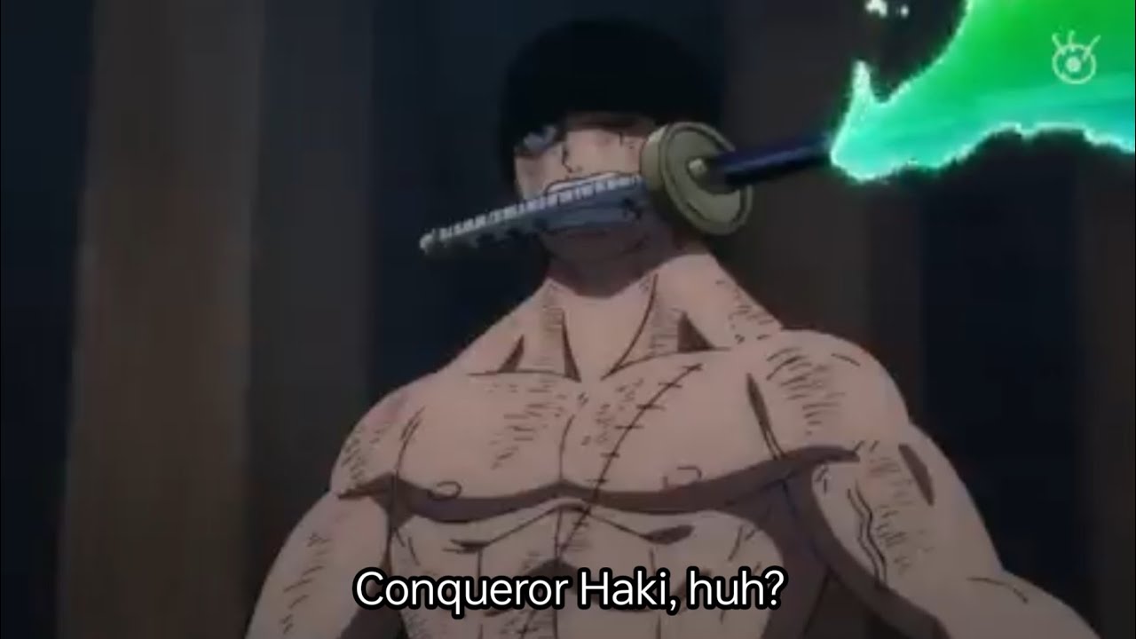 ONE PIECE 1060 PARTE 4 - LUFFY QUER IR PARA MARY GEOISE. - BiliBili