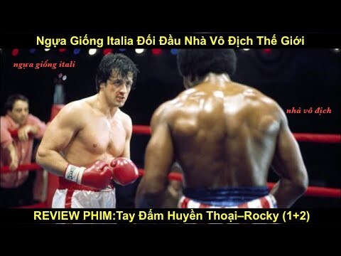 Hành Trình Đánh Bại Nhà Vô Địch Thế Giới Của Võ Sĩ Vô Danh | REVIEW PHIM