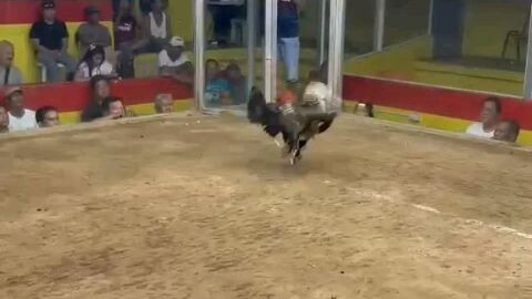 2hits champion bulacan bulakan.