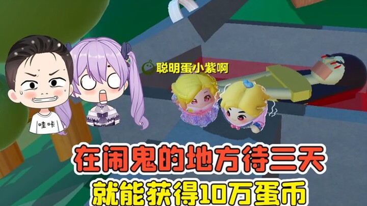 Dandan Party: Stay here for 3 days and earn 100,000 Egg Coins! Dare you take the challenge?