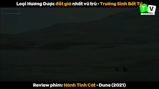 Nội dung phim hành tinh cát p13