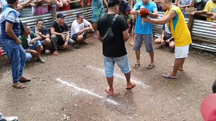 dehado but Unscratch